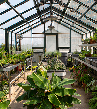 Ang loob ng Executive Mansion greenhouse.